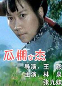 夏的梦
